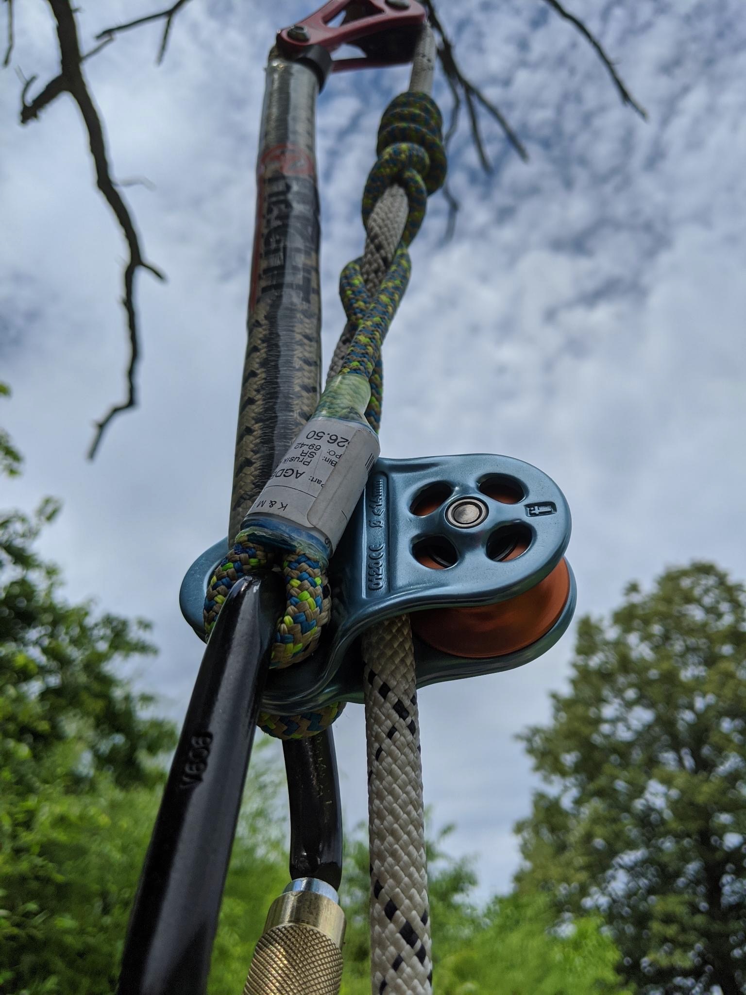 Tree removal and maintenance